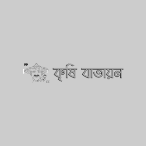 বঙ্গবন্ধু–১