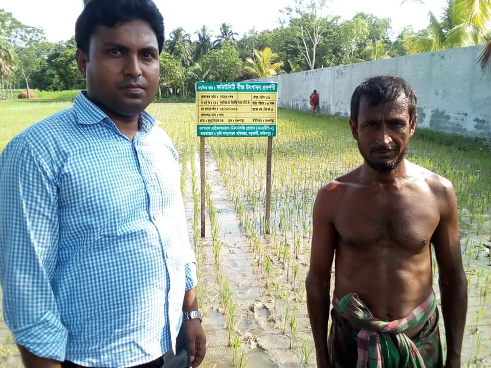 Demonstration plot of Community seed  production technology under NATP project